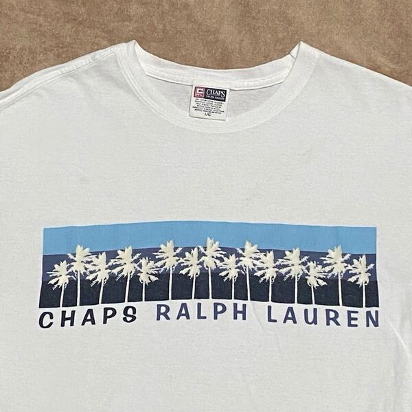 90's CHAPS RALPH LAUREN ボーダープリントTシャツ Lサイズ ビンテージ古着 ラルフローレン polo 90年代 80's RRL RUGBY ポロ