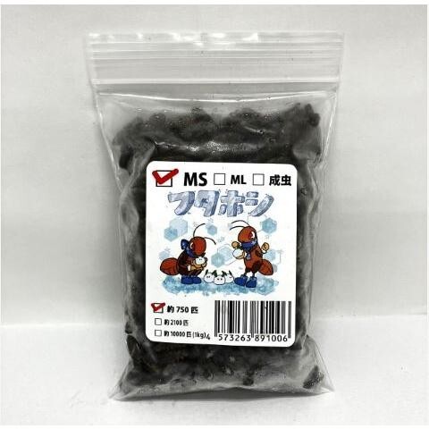 冷凍クロコML約100匹50g冷凍コオロギ | 冷凍コオロギ通販