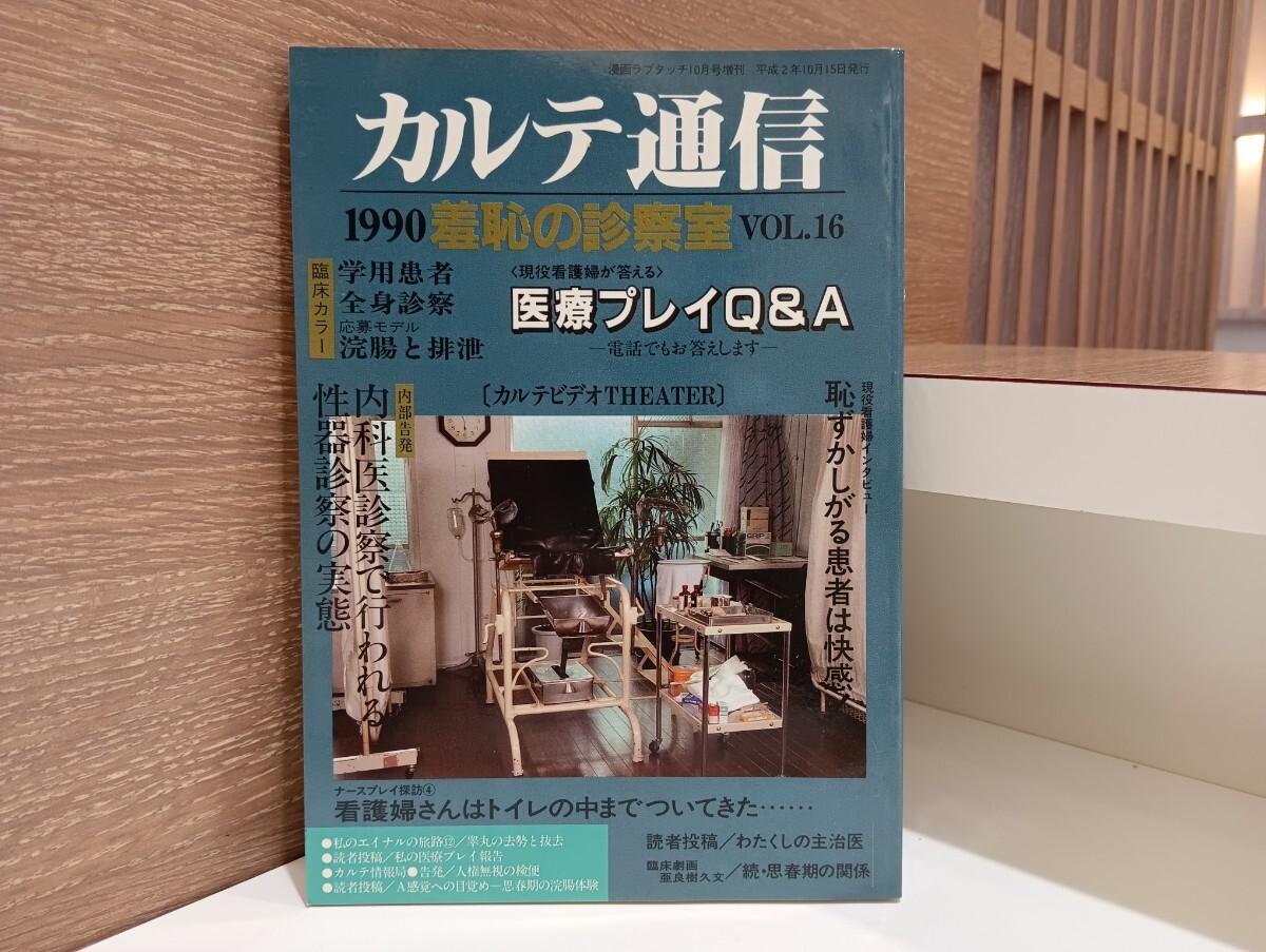 Yahoo!オークション -「10増刊号」(本) (アダルト)の落札相場