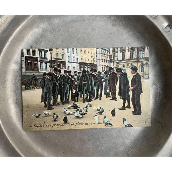 フランス 1900s リヨン 鳩 Place des Terreaux テロー広場 街角 子供 紳士 写真 ポストカード 銀板 ワーク 古着 絵画 美術 アンティーク