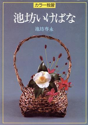 2025年最新】Yahoo!オークション -池坊専永の中古品・新品・未 2025年最新】Yahoo!オークション -池坊専永の中古品・新品・未