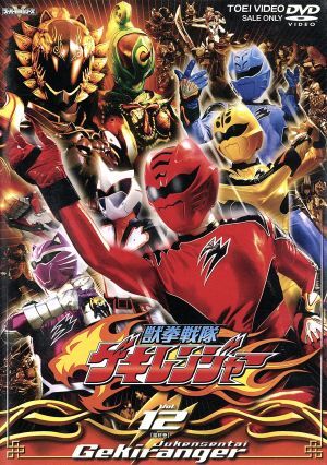 Amazon.co.jp: 福井未菜 ミナフル ワニブックス ゲキレンジャー