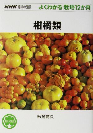 2025年最新】Yahoo!オークション -柑橘(本、雑誌)の中古品・新品 2025年最新】Yahoo!オークション -柑橘(本、雑誌)の中古品・新品