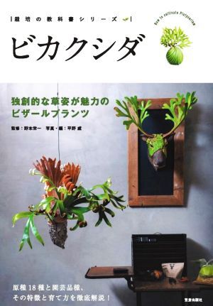 2025年最新】Yahoo!オークション -#ビカクシダの中古品・新品 2025年最新】Yahoo!オークション -#ビカクシダの中古品・新品