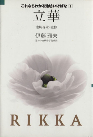 2025年最新】Yahoo!オークション -池坊 立華(本、雑誌)の中古品