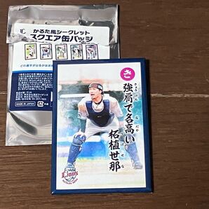 埼玉西武ライオンズ かるた風シークレット スクエア缶バッジ 柘植世那 群馬 前橋