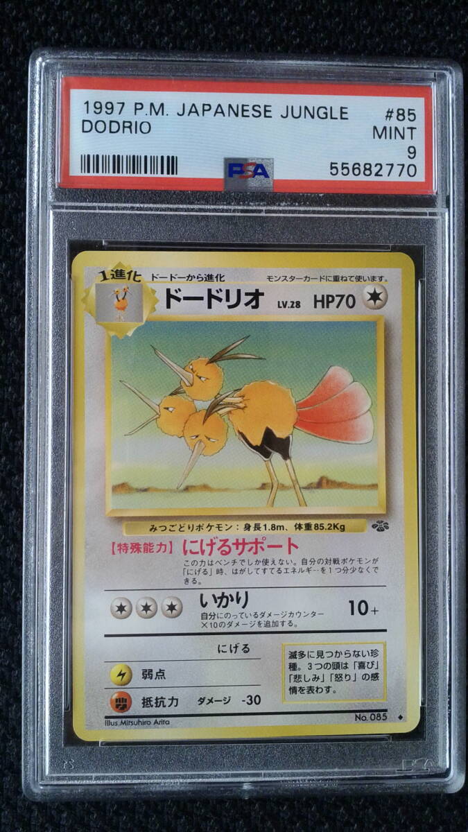 2025年最新】Yahoo!オークション -ポケモンカード1997の中古品 2025年最新】Yahoo!オークション -ポケモンカード1997の中古品