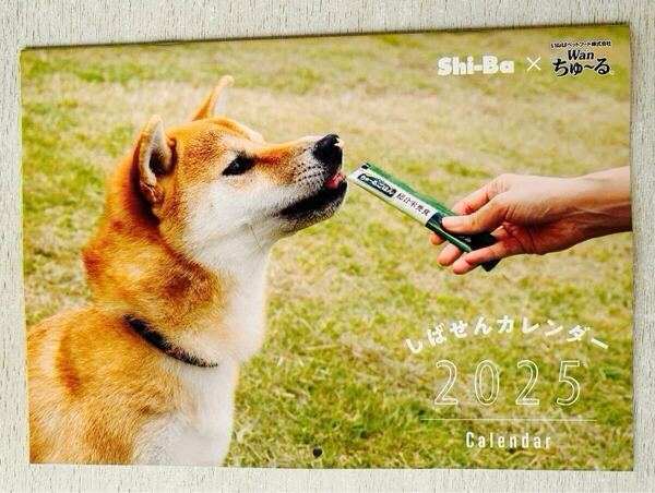 送料込★Shi-Ba シーバ 2025年 冬号付録【しばせんカレンダー2025 壁掛けB5】付録のみ匿名配送 芝犬 シバ犬 柴犬 わんこ イヌ わんちゃん
