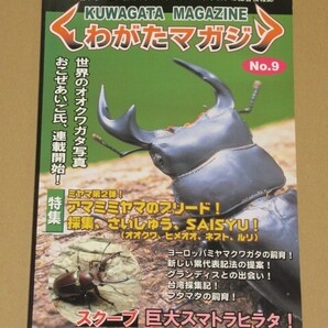 くわがたマガジン No.9 特集 ミヤマクワガタのブリード