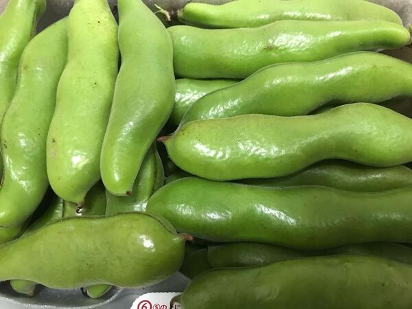 そら豆1kg