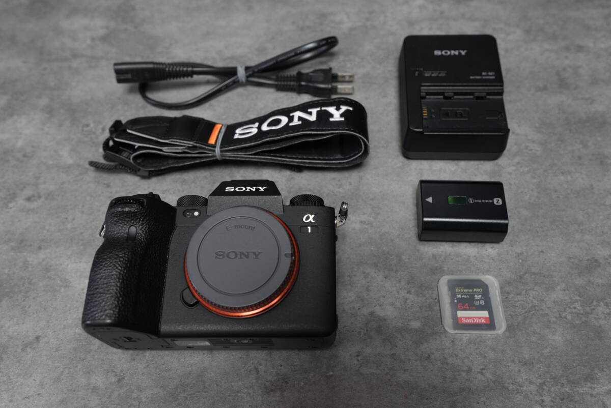 2025年最新】Yahoo!オークション -sony α1 ilce-1の中古品・新品 2025年最新】Yahoo!オークション -sony α1 ilce-1の中古品・新品