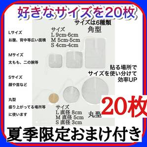 20枚 パルティール アクセルガード セルパッド ツインビート2 3 r pro パーフェクト4500 シェイプメイト フィジオナノ AT-mini