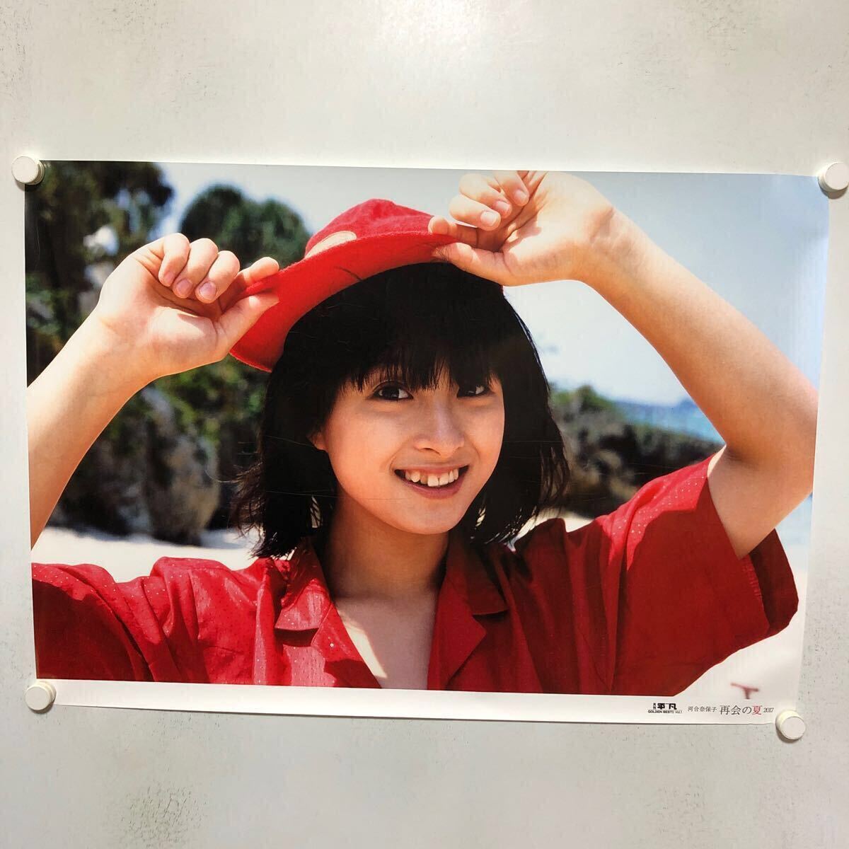 Yahoo!オークション -「河合奈保子 再会の夏」の落札相場・落札価格