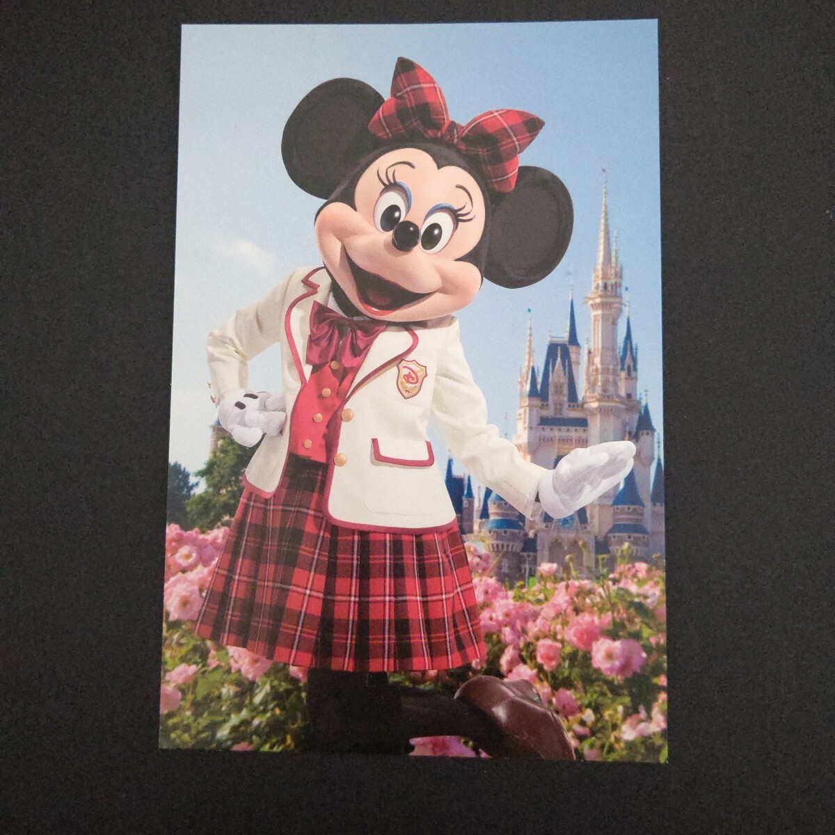 2025年最新】Yahoo!オークション -シンデレラ城(ディズニー)の 2025年最新】Yahoo!オークション -シンデレラ城(ディズニー)の