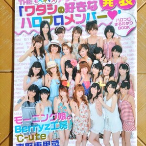 ハロプロまるわかり BOOK 2010 Hello! Project ハロー!プロジェクト モーニング娘。 Berryz工房 ℃-ute 真野恵里菜 スマイレージ
