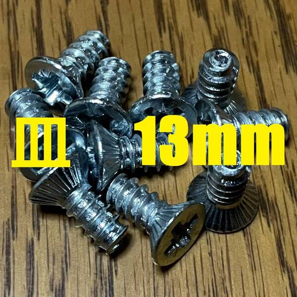 スキービンディング専用ネジ 5.5×13mm ポジドライブ 10本 追加可能 【auction by polvere_di_neve】PZ3 ロングビス ボルト リフター