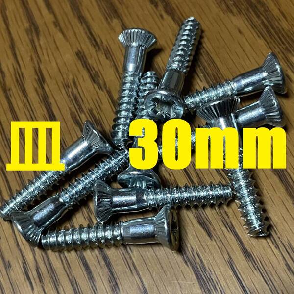 スキービンディング専用ネジ 5.5×30mm ポジドライブ 10本 追加可能 【auction by polvere_di_neve】PZ3 ロング ビス ボルト リフター