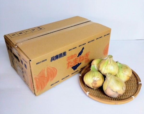 南あわじ産、新玉ねぎ、約5キロ、たっぷり、サイズミックス、みずみずしく甘みが強い、健康のため、離乳食・お土産にもオススメです!!