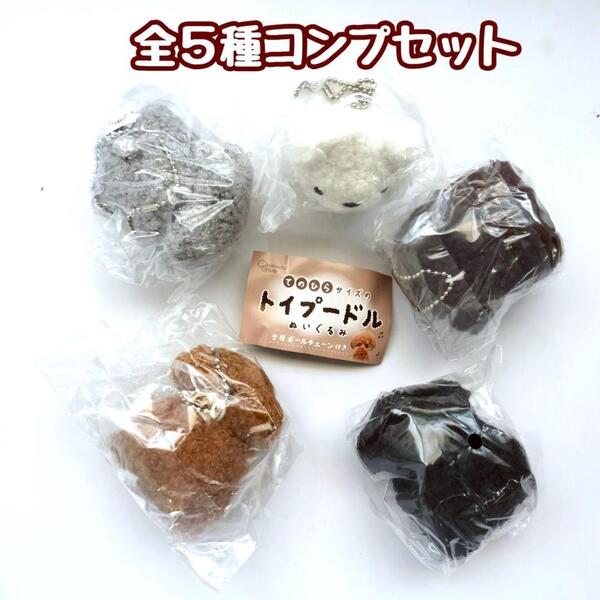 ガチャガチャ てのひらサイズのトイプードルぬいぐるみ 全5種セット いぬ イヌ 犬