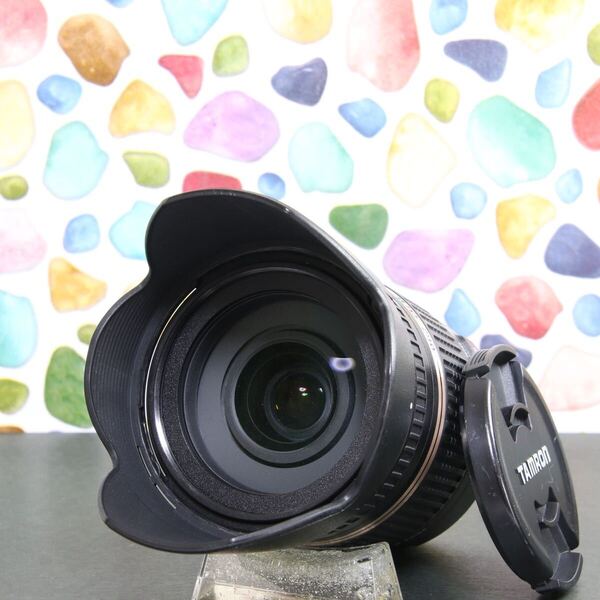 【N】 ◇近くも遠くも綺麗に撮影できます♪ ◇TAMRON 18-270mm Sony ソニー