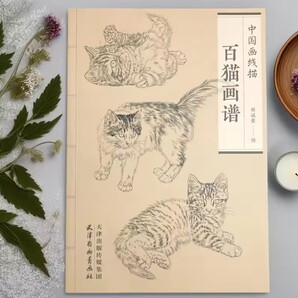 猫のイラスト 百猫画譜 線描画 猫の雑貨 HANAKO