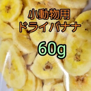小動物の好物 ドライバナナ60g うさぎ モルモット ハムスター リス 小動物おやつ 乾燥バナナ バナナチップス