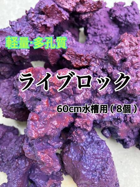 【60cm水槽用】【送料無料】多孔質・軽量ライブロック 8個入り(海水魚、サンゴ、バクテリア、背景、レイアウト)