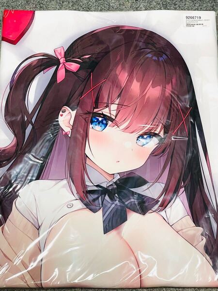 さなちゃん抱き枕カバー 制服 あやみ ハチゴ&ねこどーなつ 新品未開封