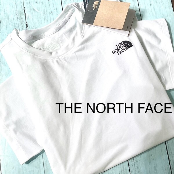 白半袖 Tシャツ ブランド THE NORTH FACE 新品 メンズ フラッシュドライ ホワイト
