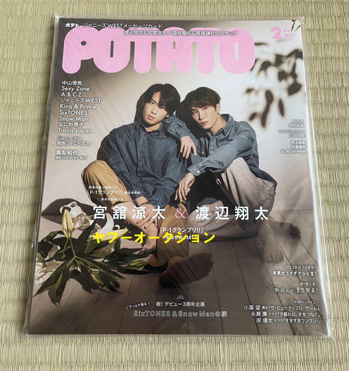 Yahoo!オークション -「potato」(本、雑誌) の落札相場・落札価格