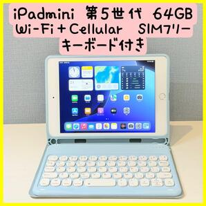 【美品】iPad mini 第5世代 64GB Wi-Fi+Cellular