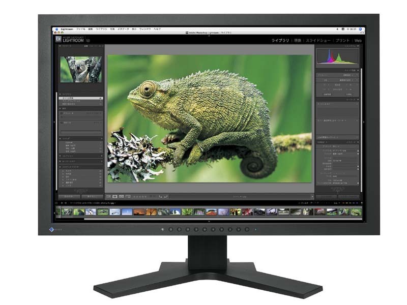Yahoo!オークション -「eizo coloredge cg241w」の落札相場 Yahoo!オークション -「eizo coloredge cg241w」の落札相場