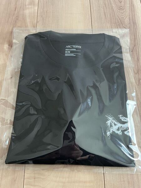 Mサイズ アークテリクス クラッグSLコットン バードタイル LS M Tシャツ