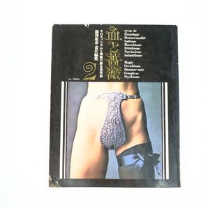 血と薔薇2 澁澤龍彦責任編集 エロティシズムと残酷の綜合研究誌 初版 古書 立木義浩稲垣足穂石元泰博種村季弘東野芳明高橋睦朗植草甚一