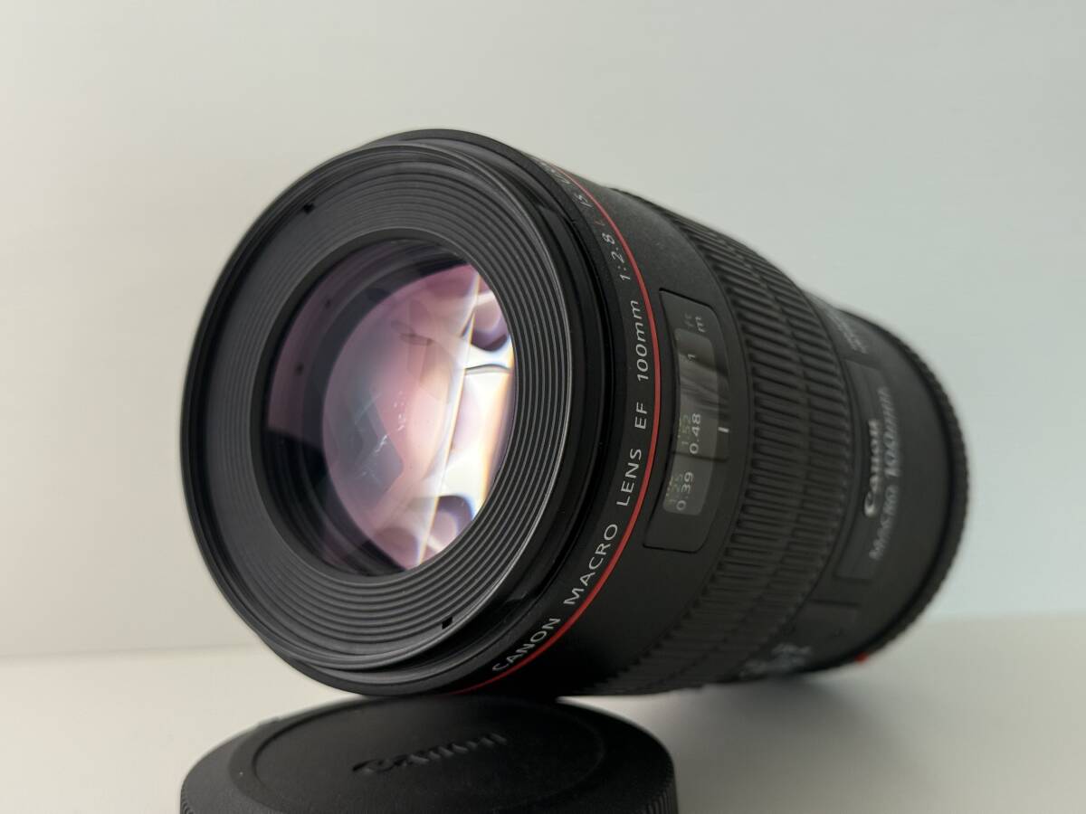 Yahoo!オークション -「canon ef100mm f2.8l マクロ is usm」の Yahoo!オークション -「canon ef100mm f2.8l マクロ is usm」の