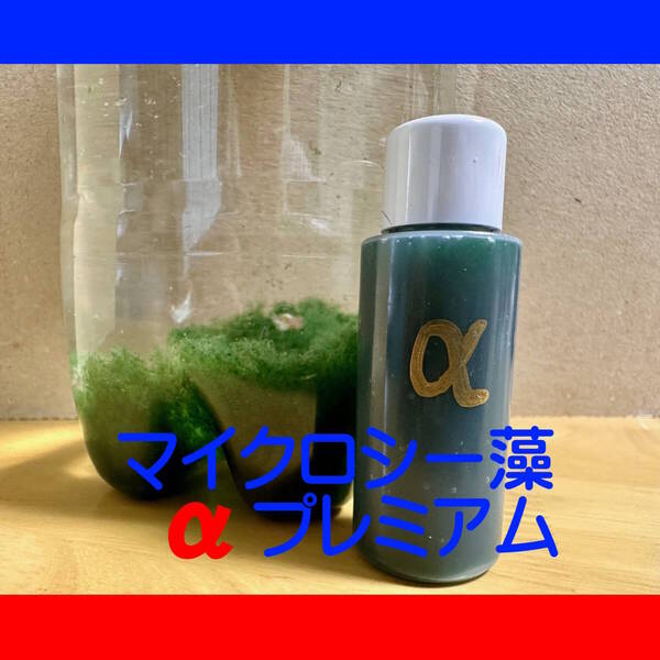 餌やり不要/シーモンキーがムキムキに!「マイクロシー藻αプレミアム」1本(20ml)