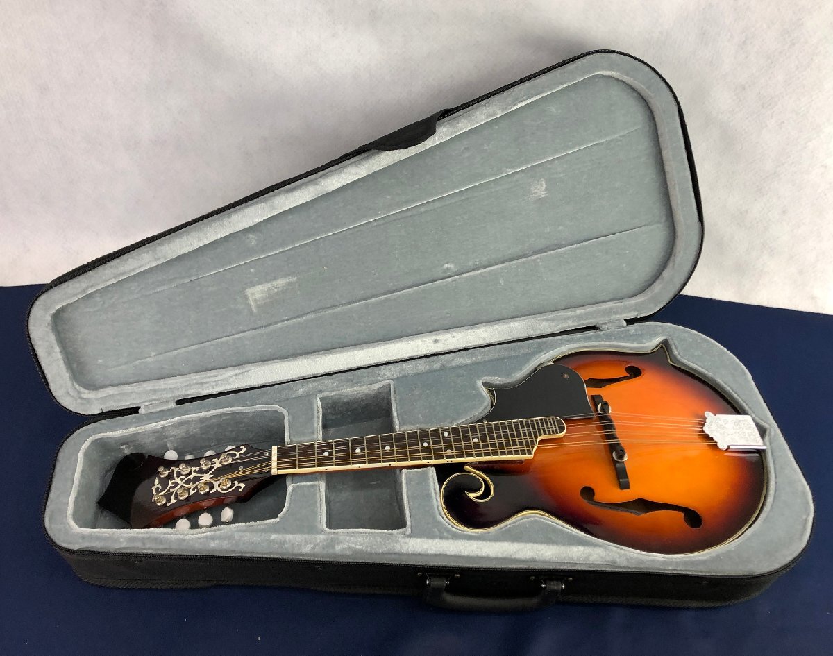 2025年最新】Yahoo!オークション -#マンドリンの中古品・新品