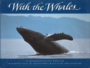 With the Whales