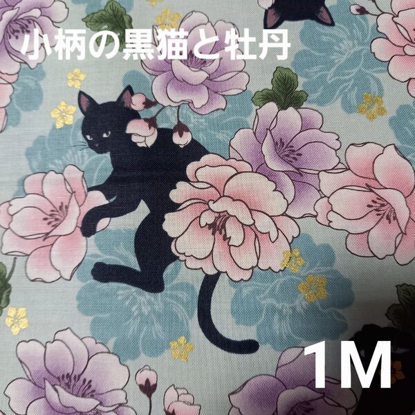 キルトゲイト 小柄の黒猫と牡丹 水色 ねこ 黒猫 ネコ生地 花柄 和柄 百華繚蘭 百花繚乱 1M ミント ぼたん QUILT GATE