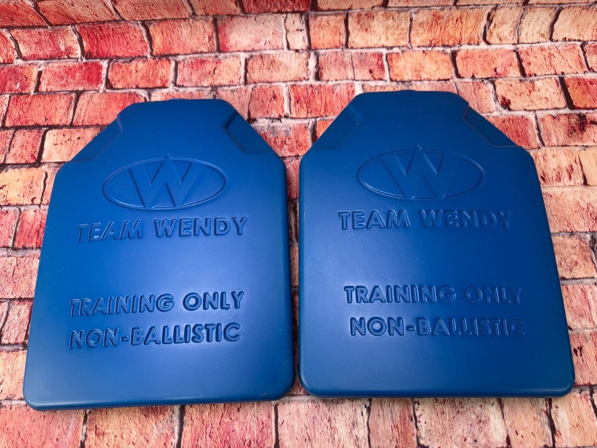 【最終値下げ】チームウェンディ　トレーニングプレート（2枚セット） 最終値下げ】チームウェンディ トレーニングプレート（2枚セット