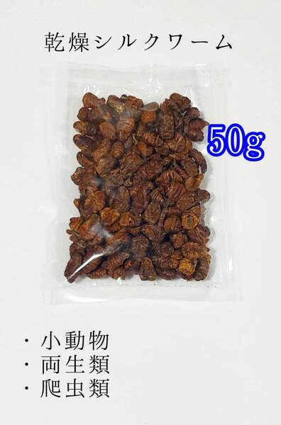 ドライシルクワーム50g 小動物 爬虫類 両生類 ワーム ハリネズミ フクロモモンガ ミルワーム フトアゴヒゲトカゲ