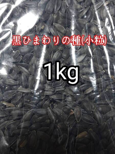 ペット用 黒ひまわりの種 小粒 1kg ハムスター 小動物 小鳥 リス マウス インコ 鳥類 ジャンガリアン ゴールデンハムスター
