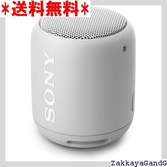 2025年最新】Yahoo!オークション -srs xb10の中古品・新品・未 2025年最新】Yahoo!オークション -srs xb10の中古品・新品・未