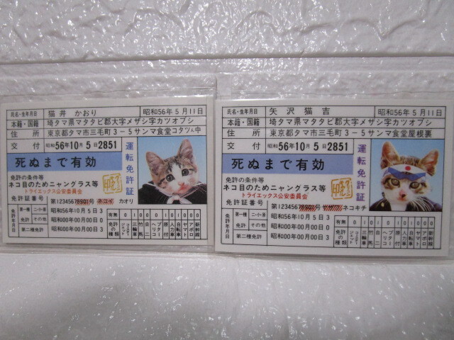 2025年最新】Yahoo!オークション -なめ猫 免許証 当時の中古品 2025年最新】Yahoo!オークション -なめ猫 免許証 当時の中古品