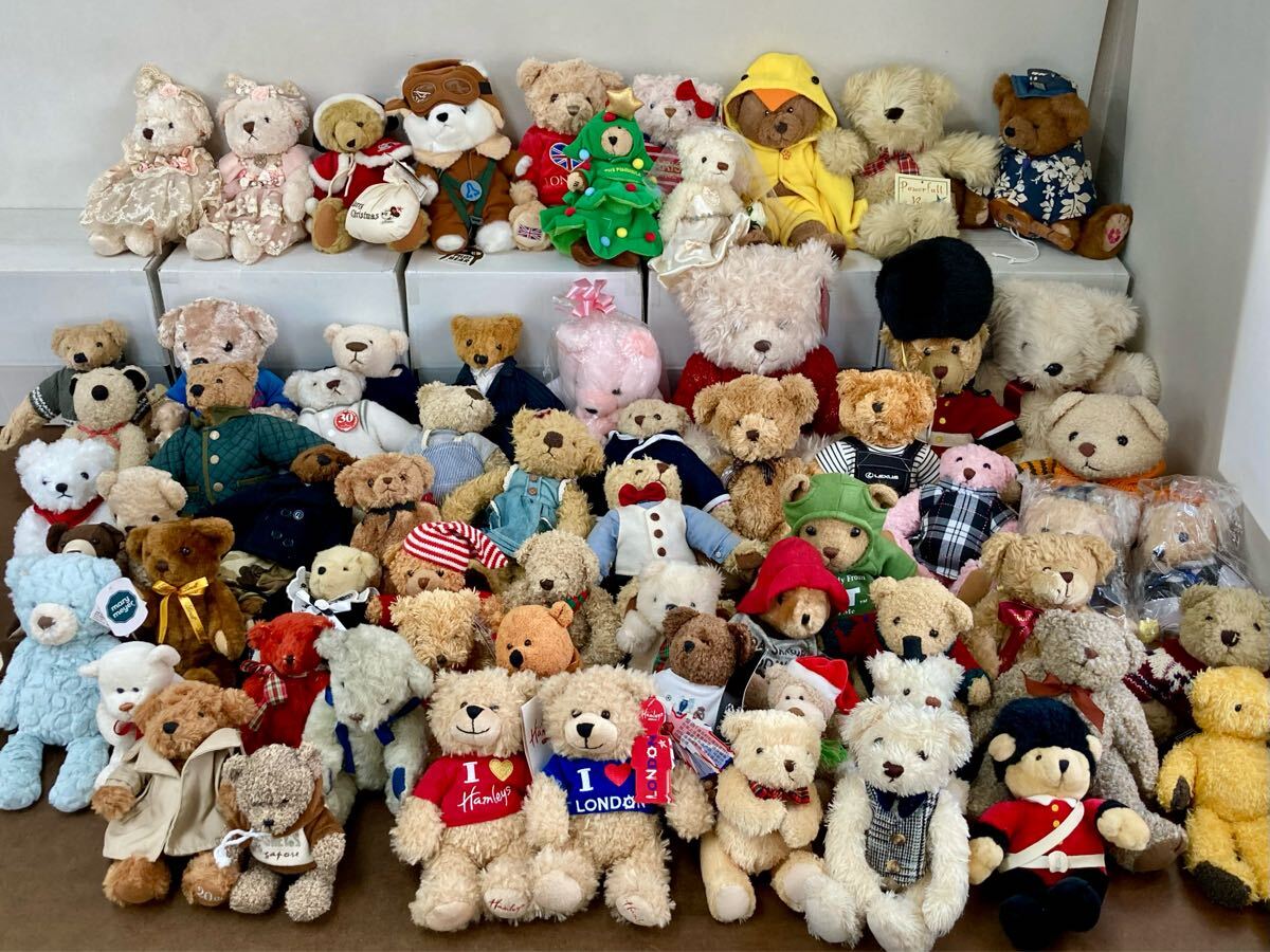 Amazon.co.jp: 品 テディベア 作家 秋山衣律子 Teddy Pocket