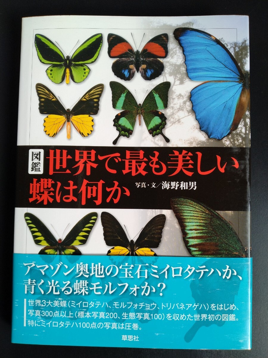 2025年最新】Yahoo!オークション -蝶(昆虫)の中古品・新品・古本一覧 2025年最新】Yahoo!オークション -蝶(昆虫)の中古品・新品・古本一覧
