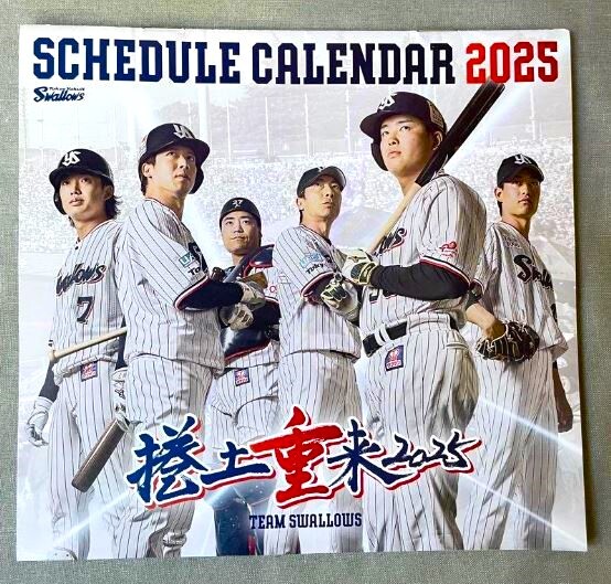 東京ヤクルトスワローズ トラックジャケット 2025 新品・未開封