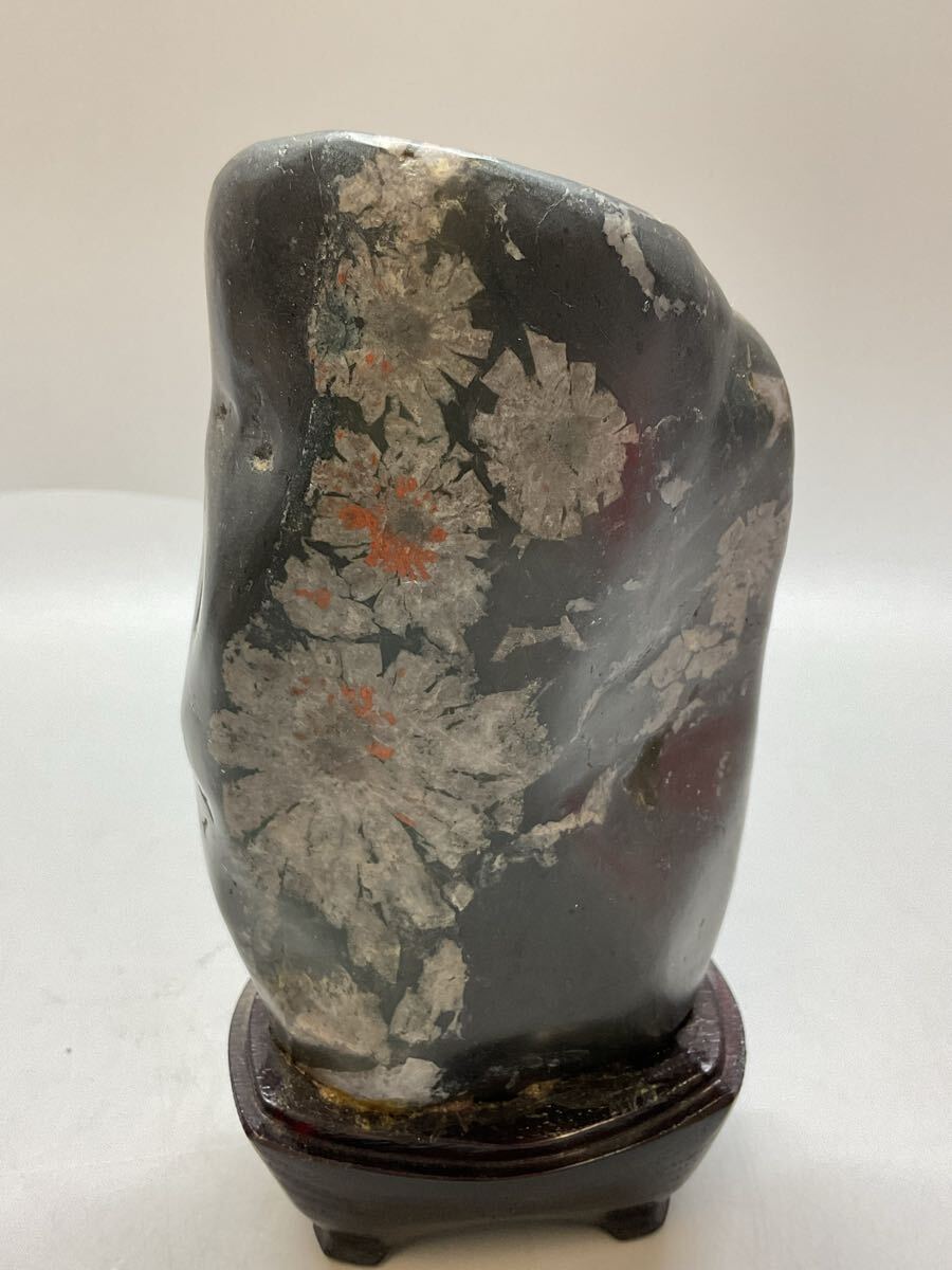 2025年最新】Yahoo!オークション -菊花石の中古品・新品・未使用 2025年最新】Yahoo!オークション -菊花石の中古品・新品・未使用