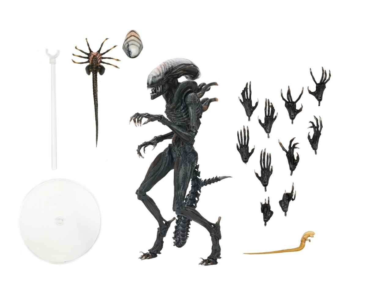Yahoo!オークション -「neca alien」の落札相場・落札価格 Yahoo!オークション -「neca alien」の落札相場・落札価格