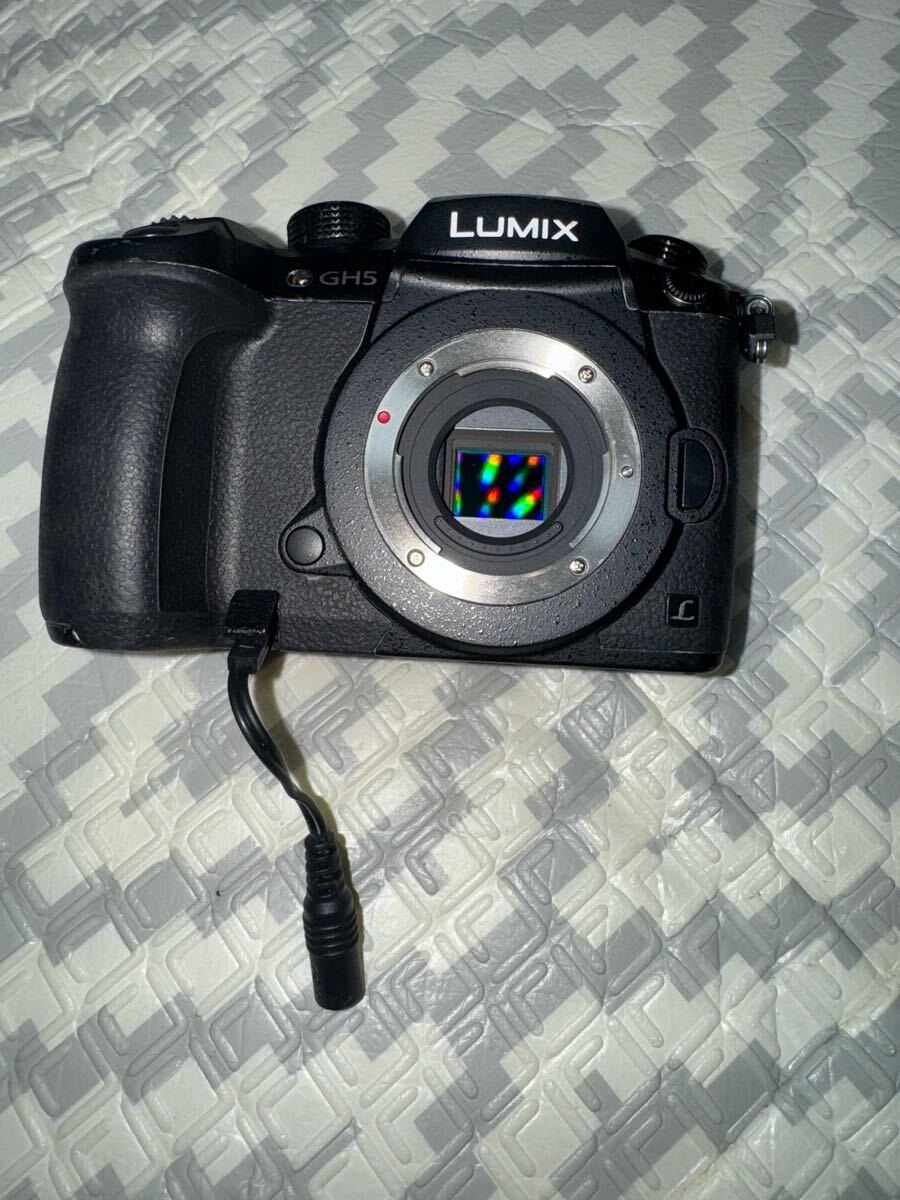 Yahoo!オークション -「gh5 panasonic」の落札相場・落札価格 Yahoo!オークション -「gh5 panasonic」の落札相場・落札価格